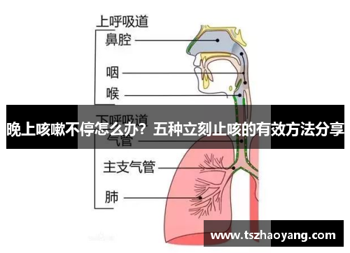 晚上咳嗽不停怎么办？五种立刻止咳的有效方法分享