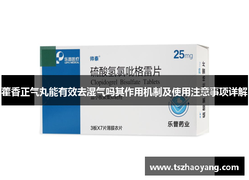 藿香正气丸能有效去湿气吗其作用机制及使用注意事项详解